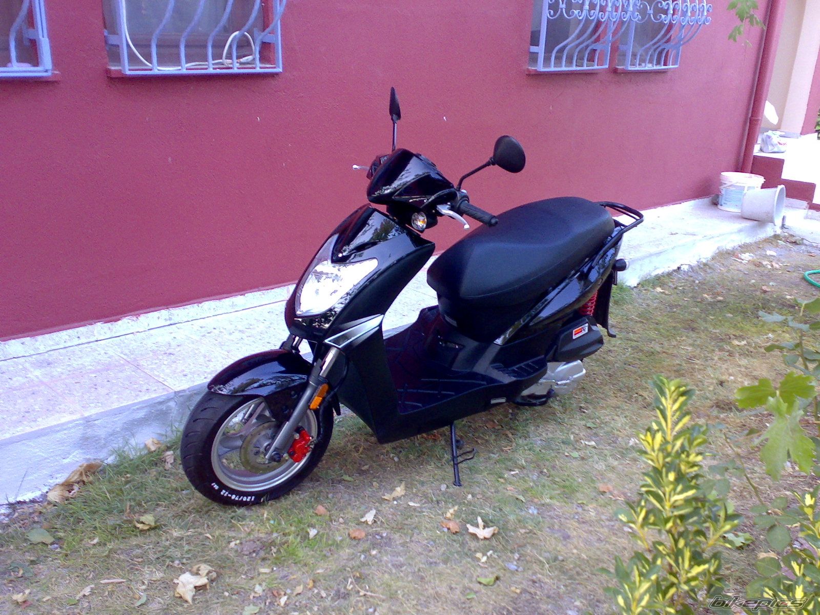 Photo 1411603