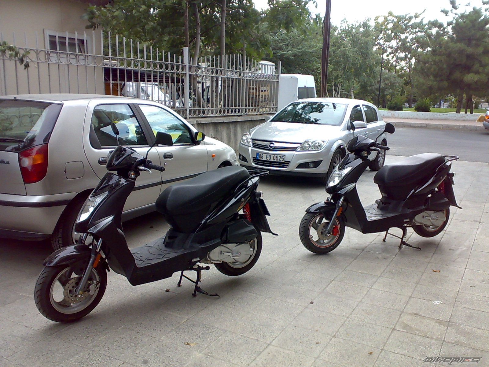 Photo 1411608