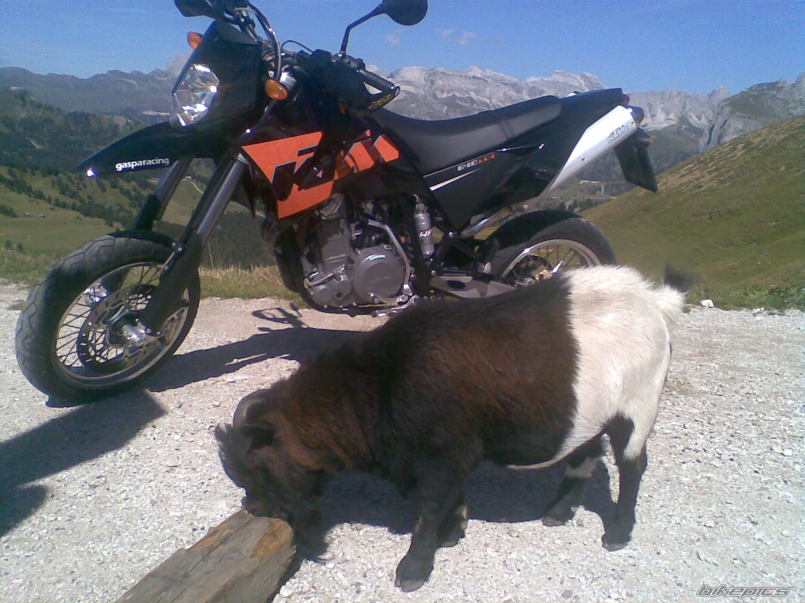 Photo 1411680