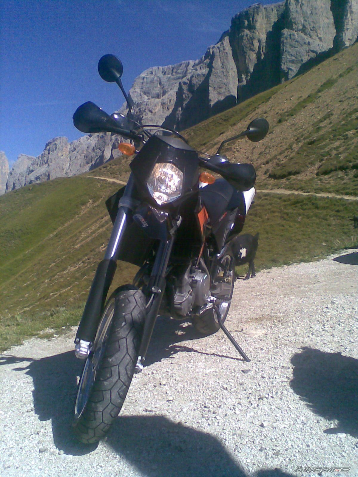 Photo 1411682