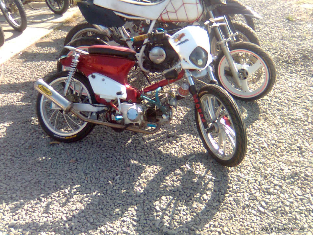 Photo 1411703