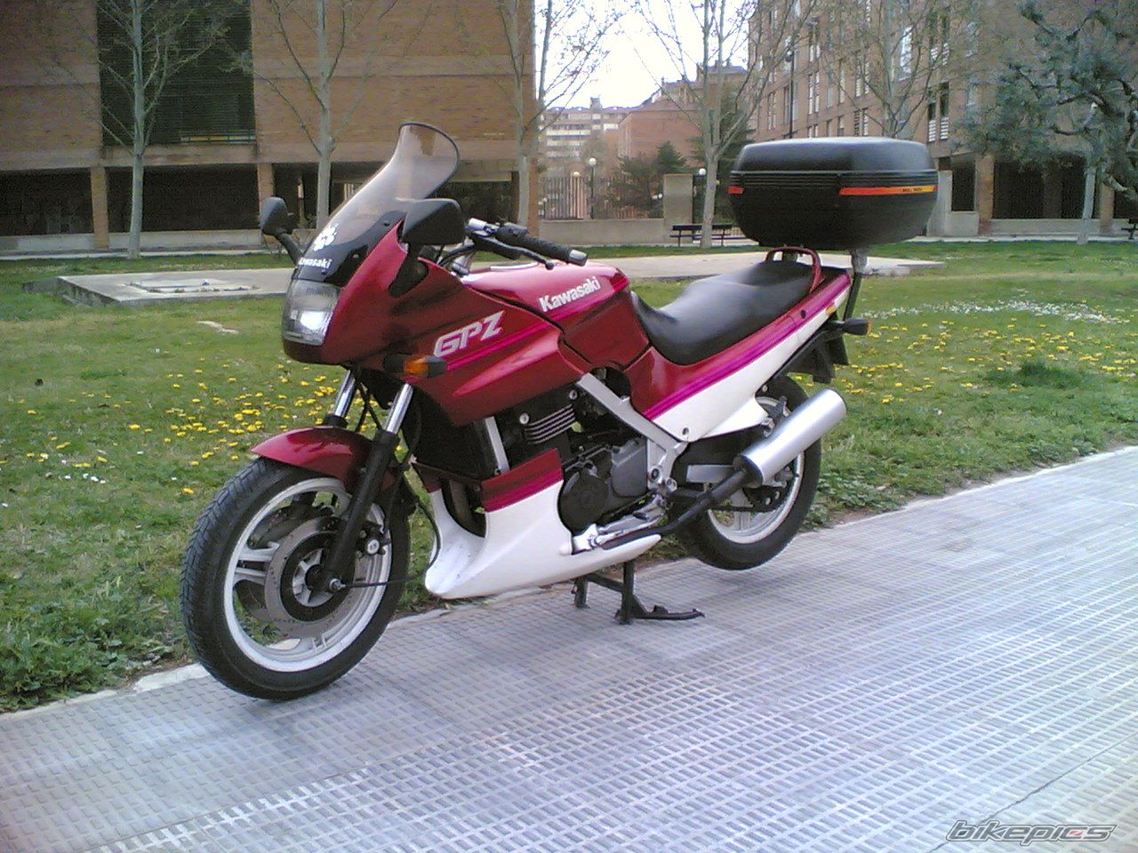 Photo 1411715