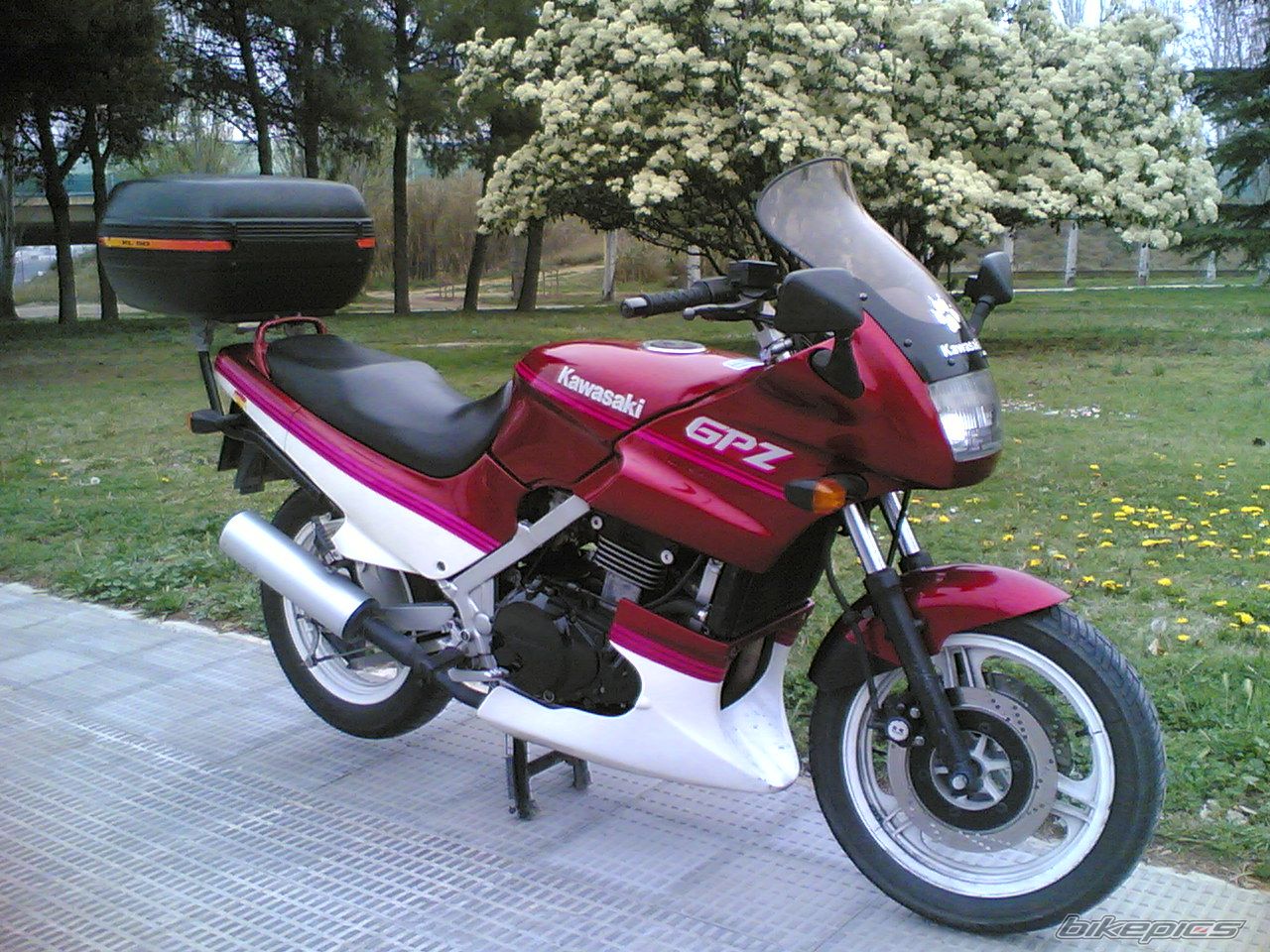 Photo 1411716