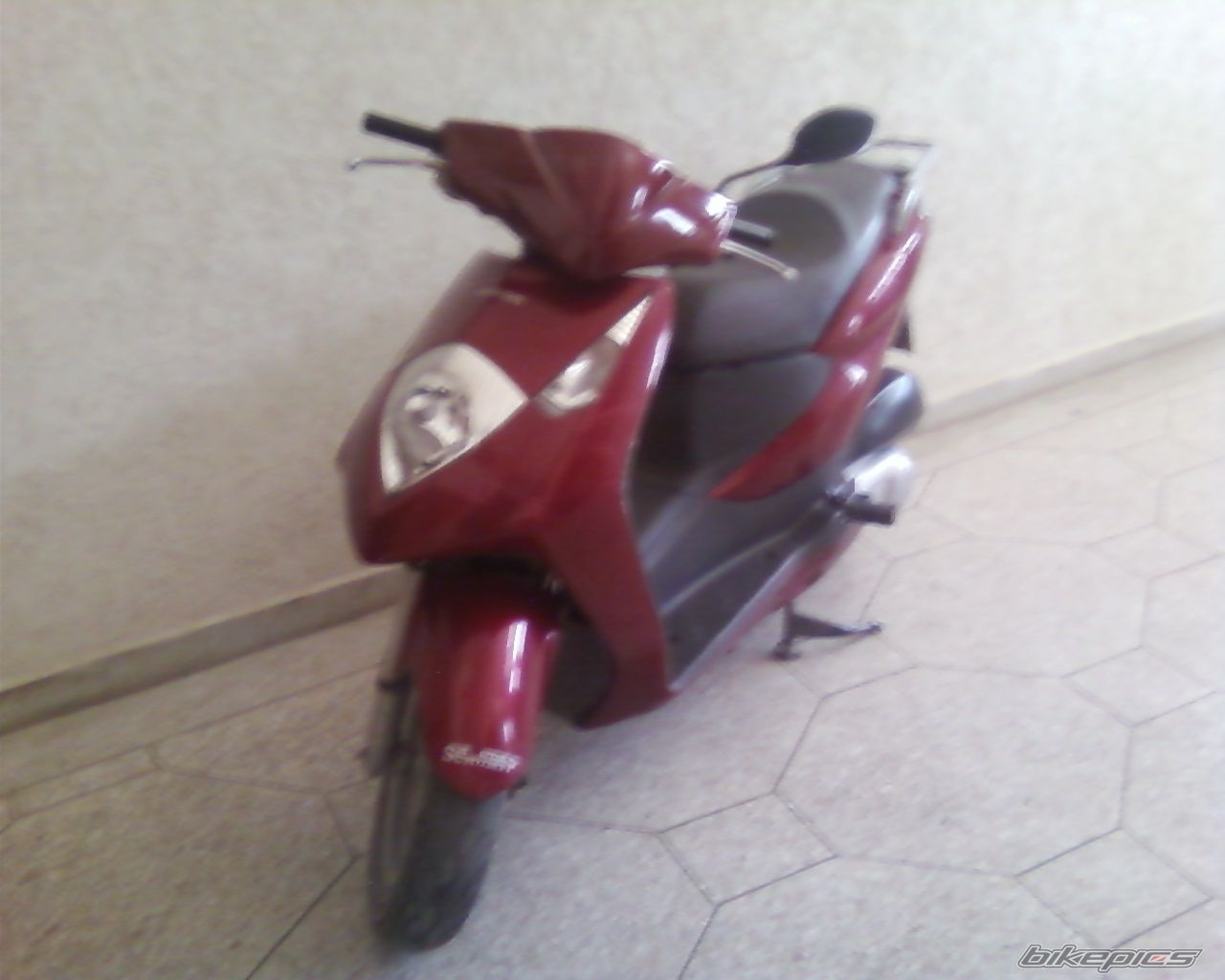 Photo 1411775