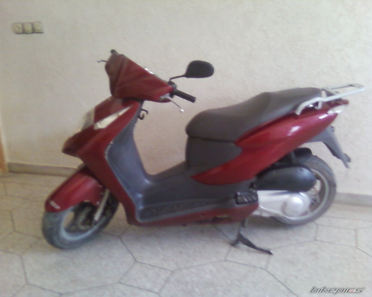 Photo 1411776