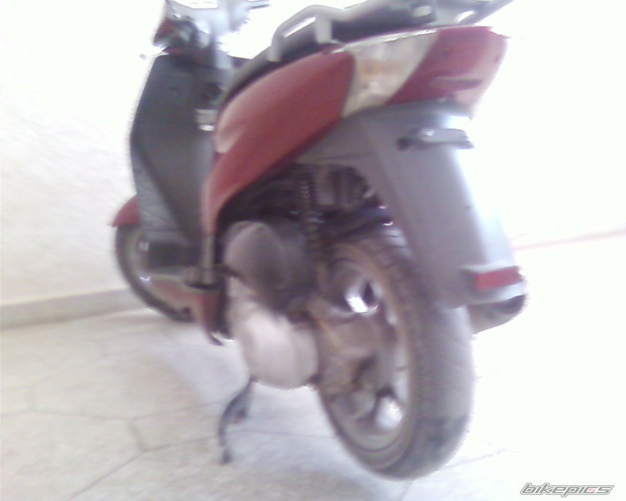 Photo 1411777