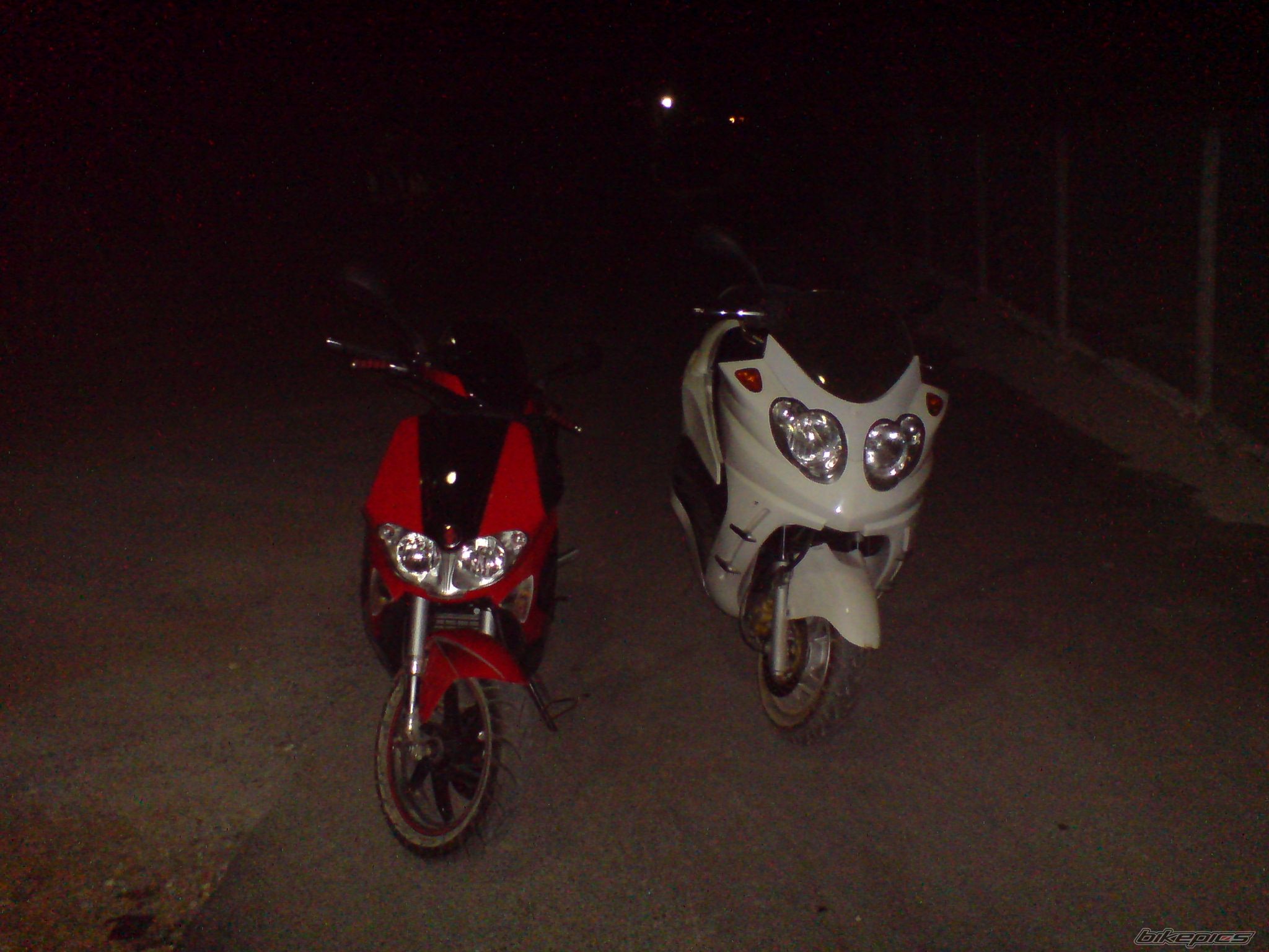 Photo 1411800