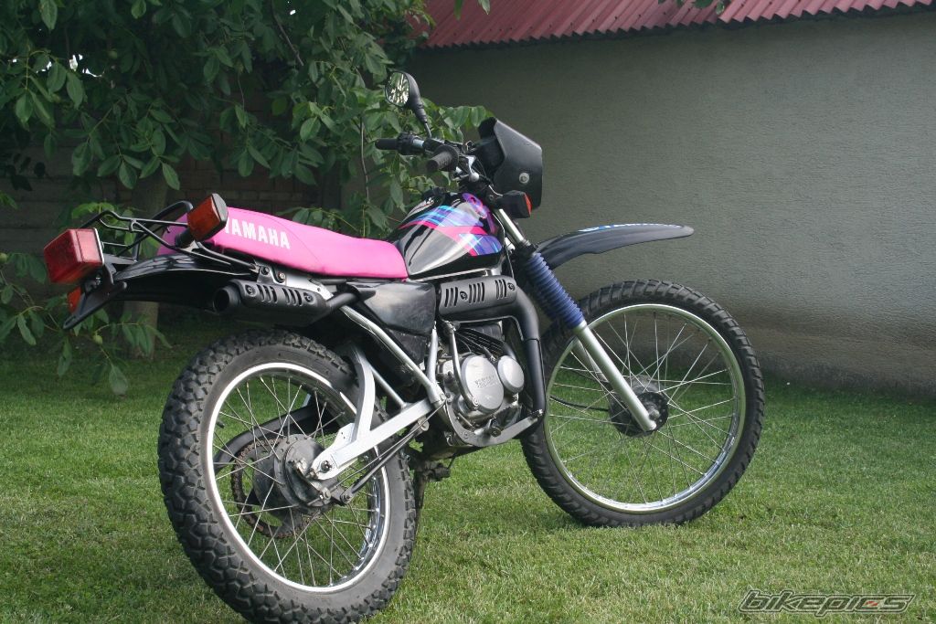Photo 1411870