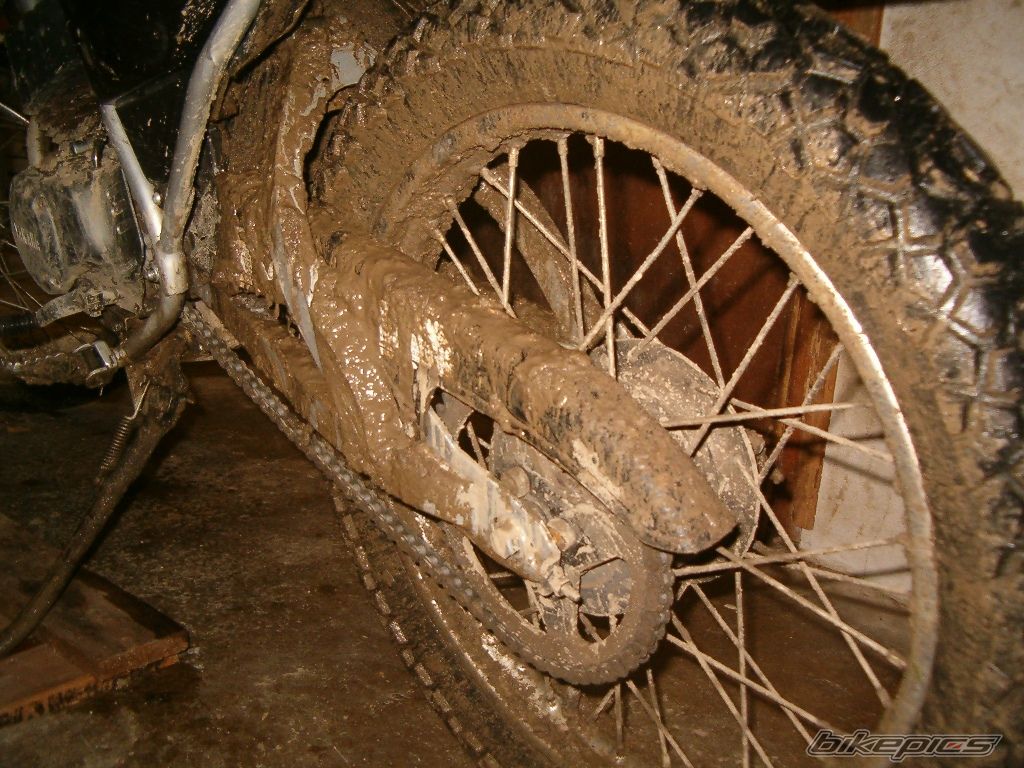Photo 1411917