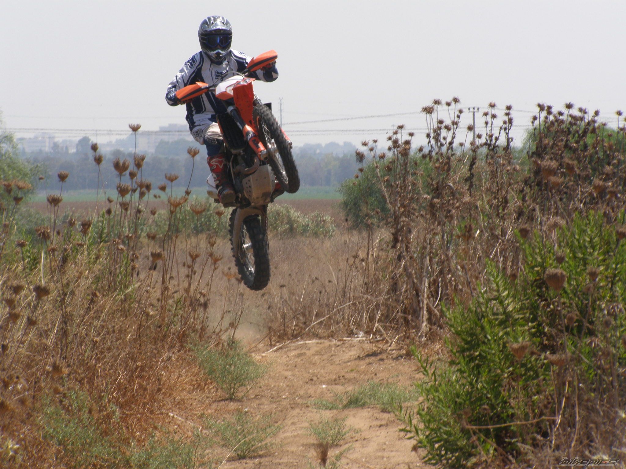Photo 1411925