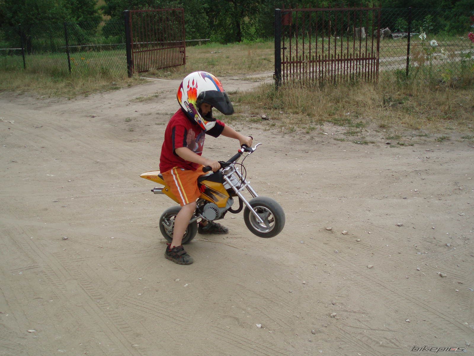 Photo 1411926