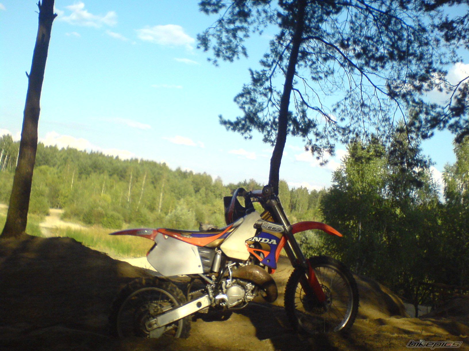 Photo 1411977