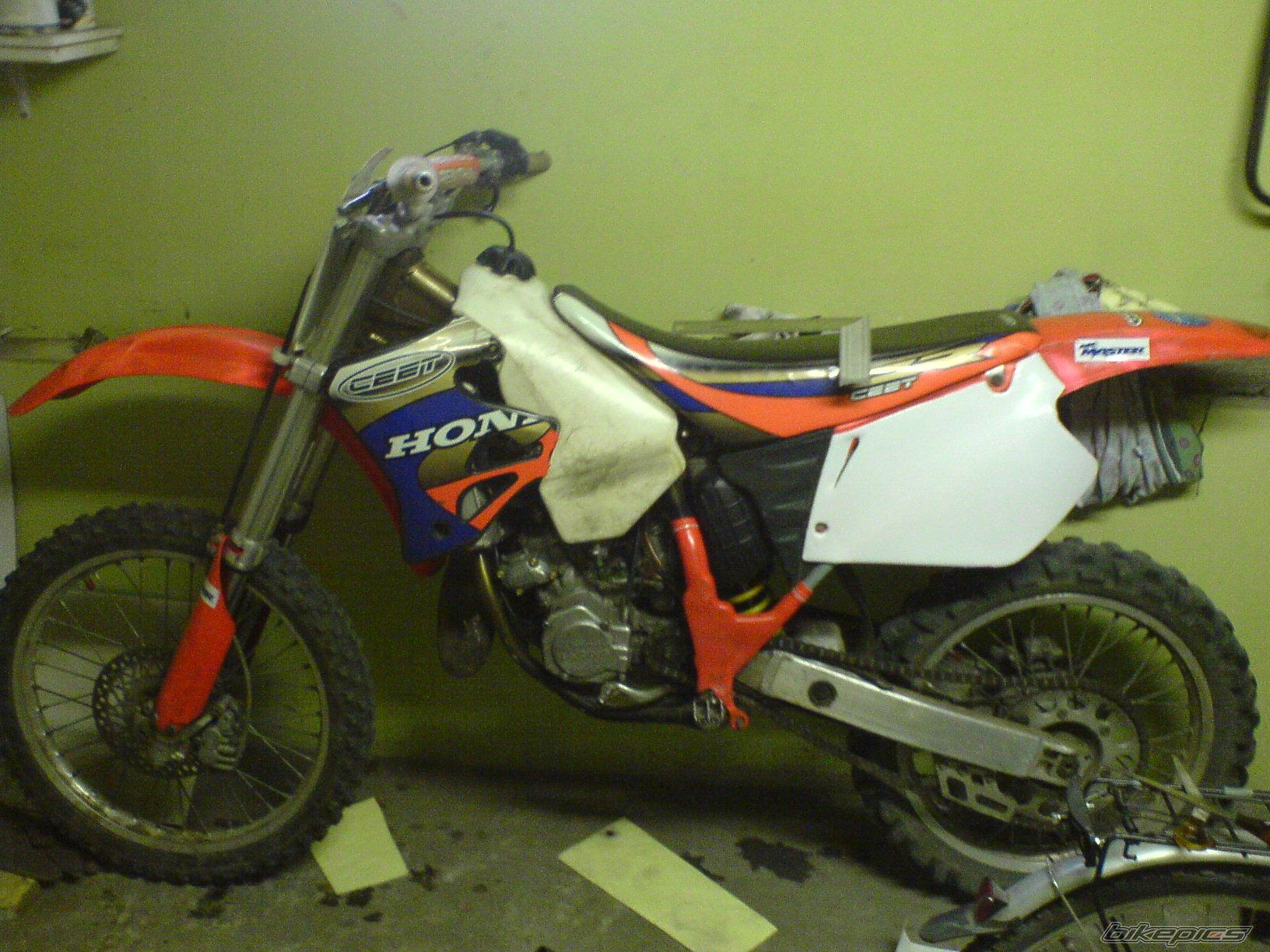 Photo 1411979