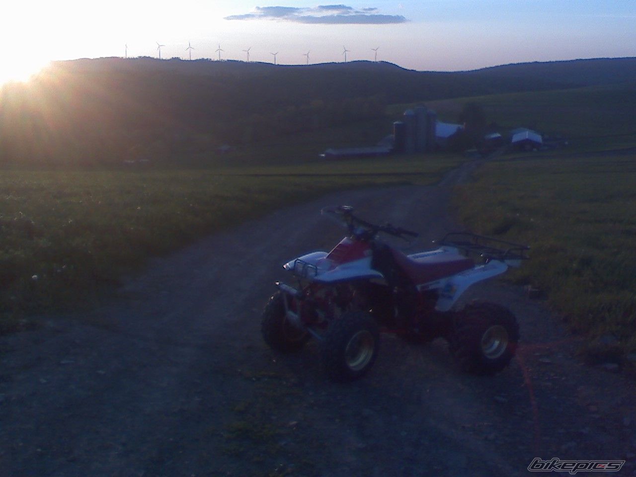 Photo 1411986
