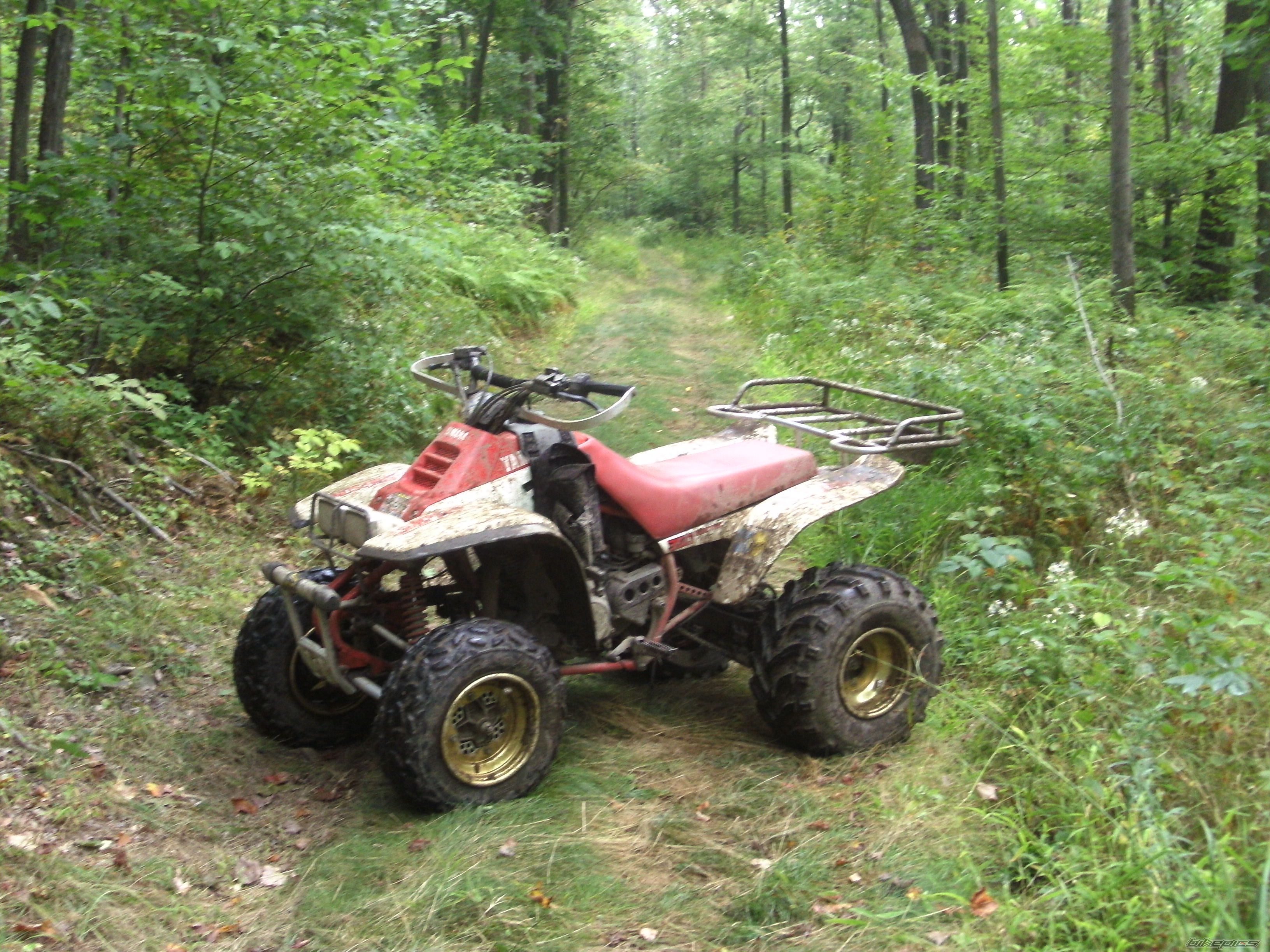 Photo 1411990