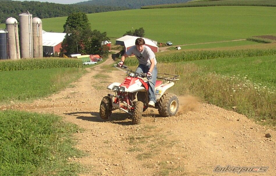 Photo 1412011