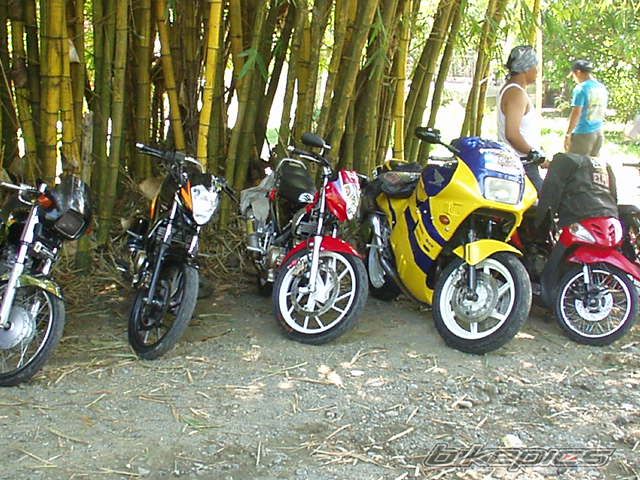 Photo 1412263