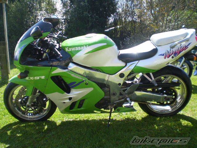 Photo 1412329