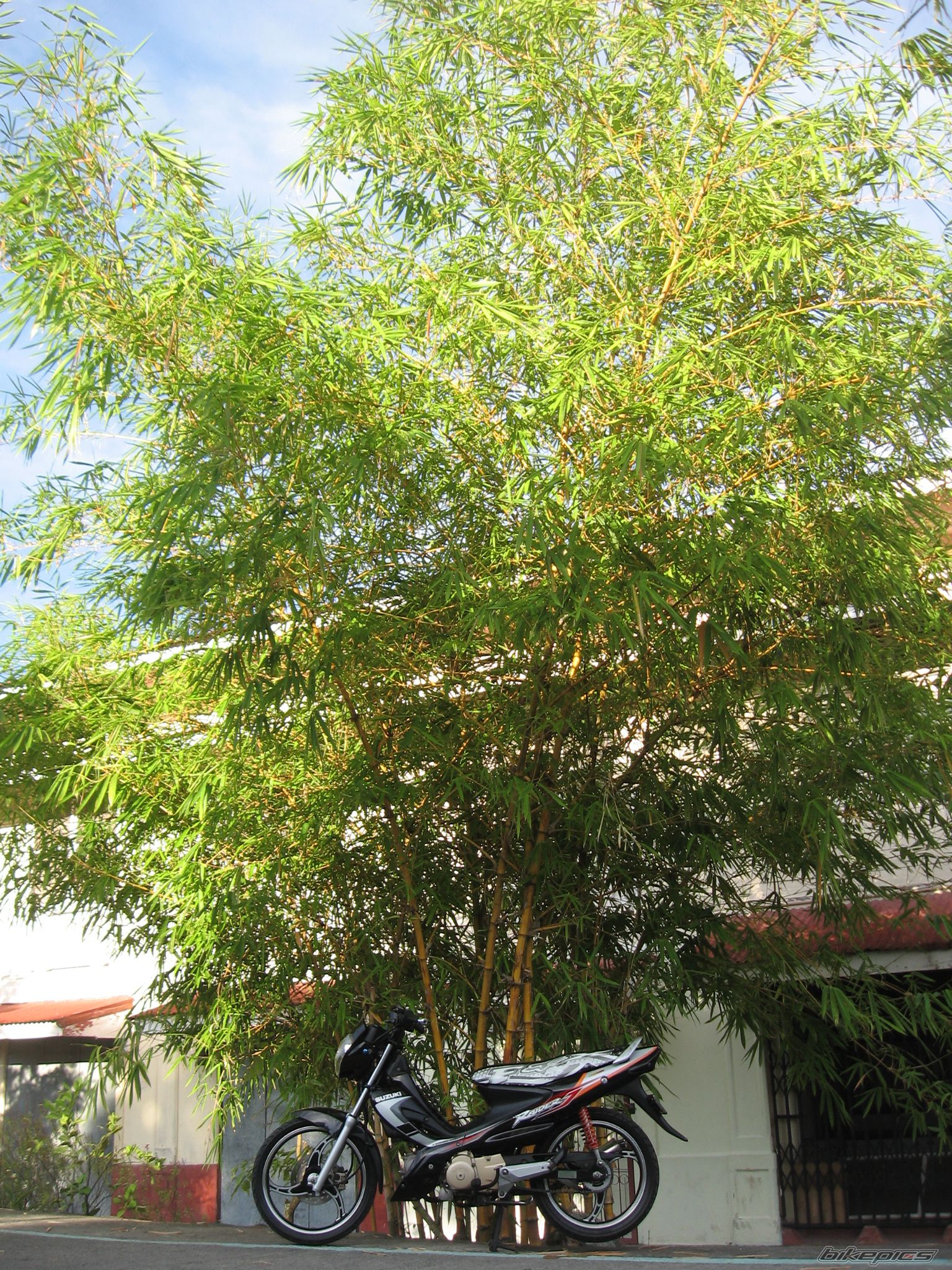Photo 1412340
