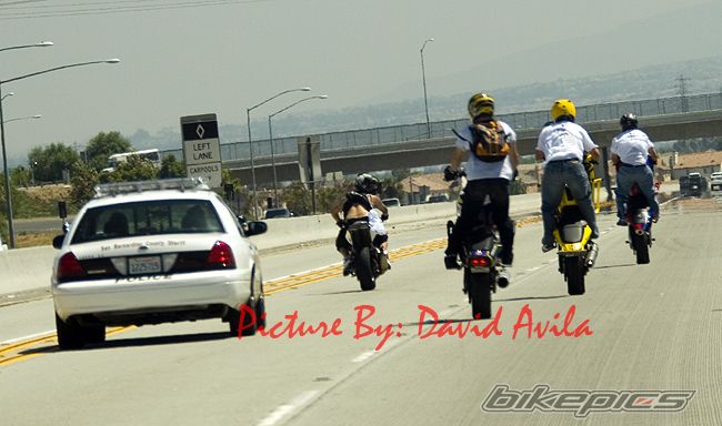 Photo 1412463