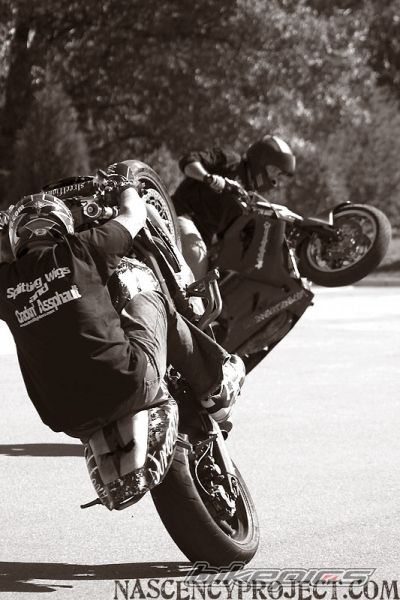 Photo 1412479