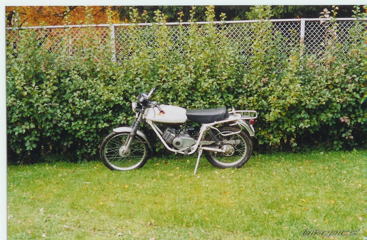 Photo 141249