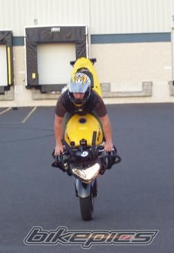 Photo 1412496