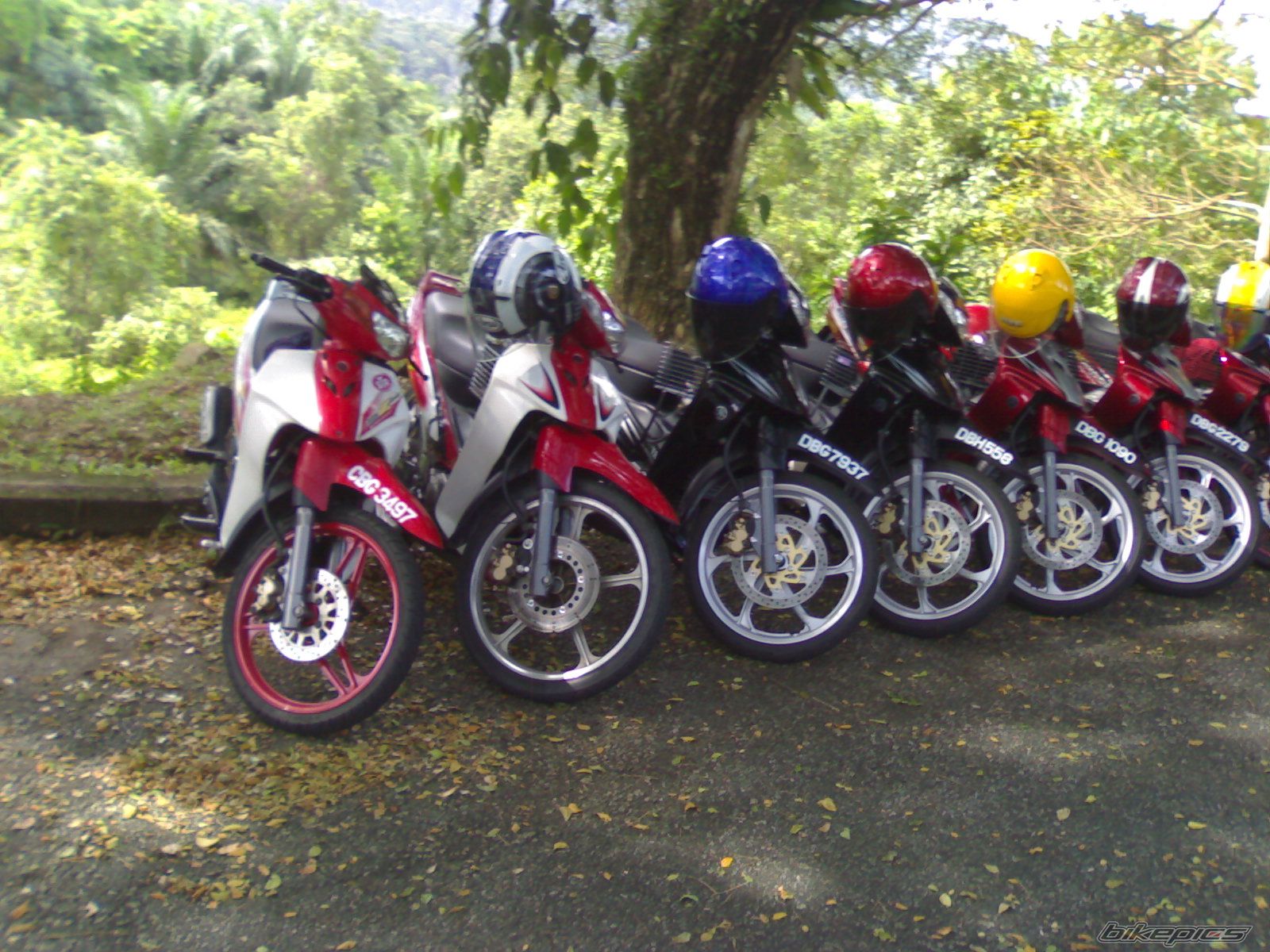 Photo 1412616