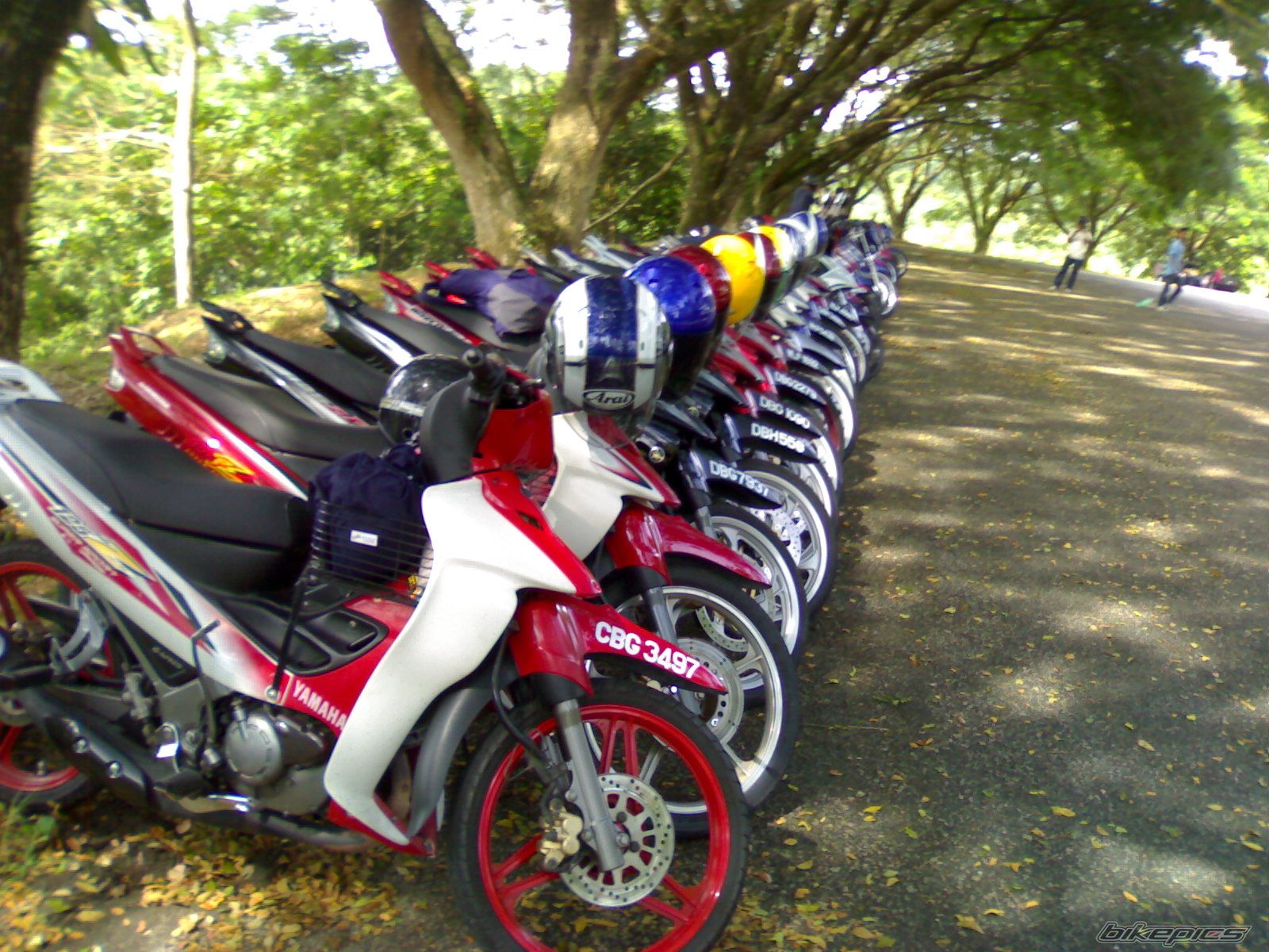 Photo 1412621