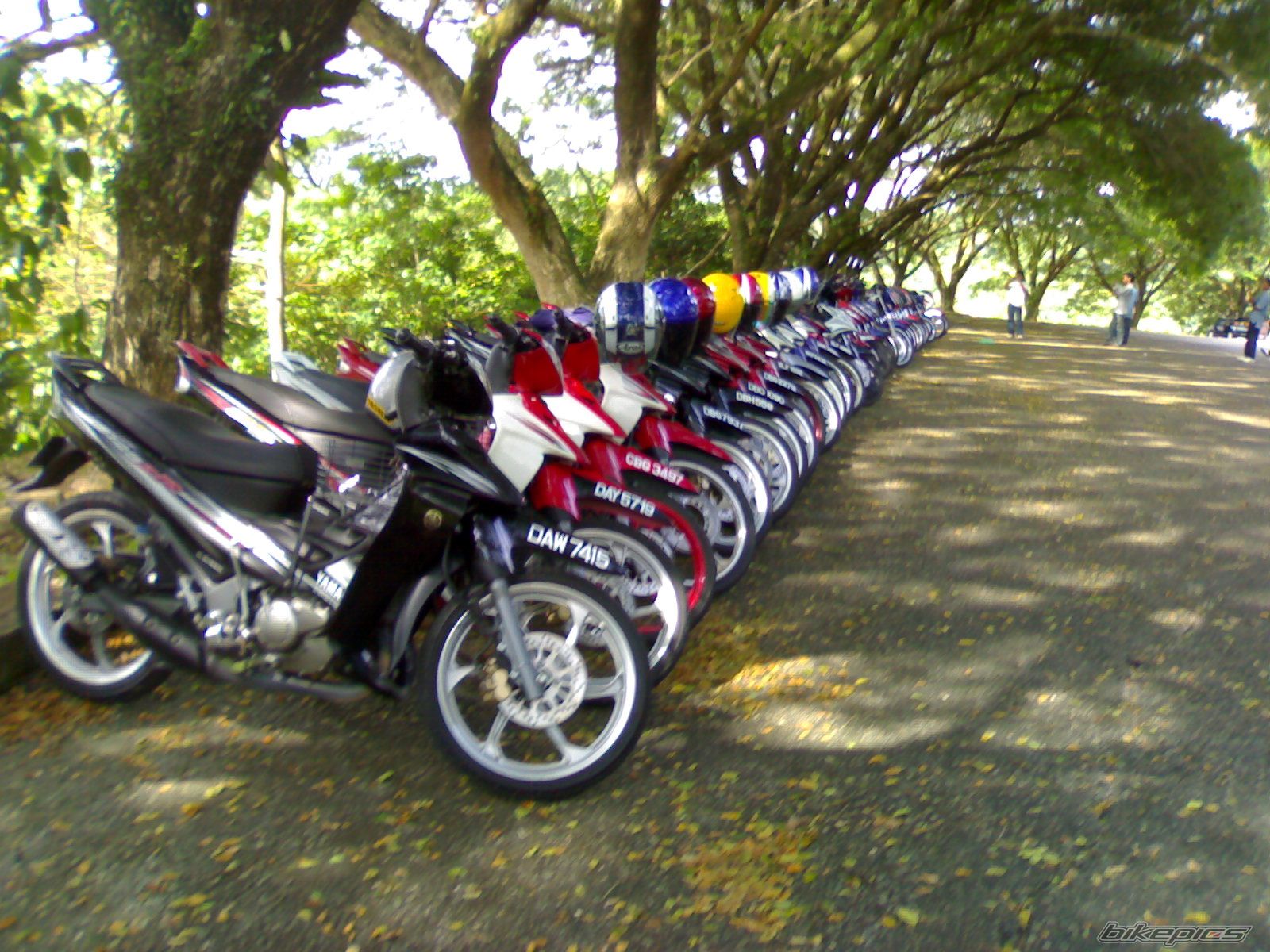 Photo 1412639