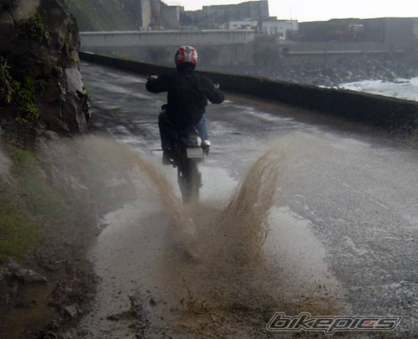 Photo 141271