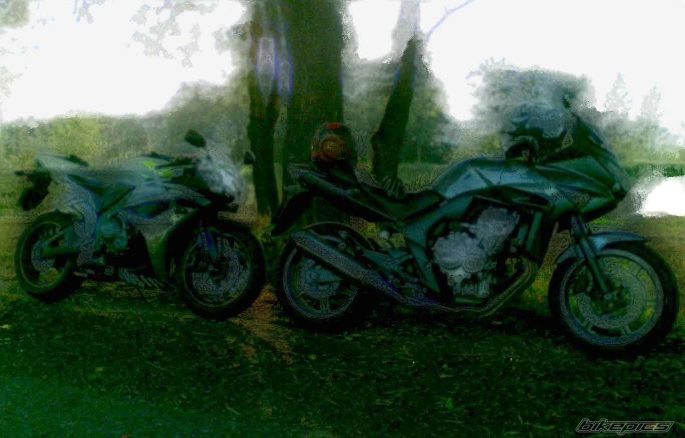 Photo 1412976