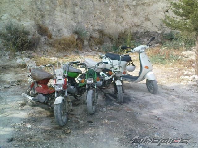 Photo 1413029