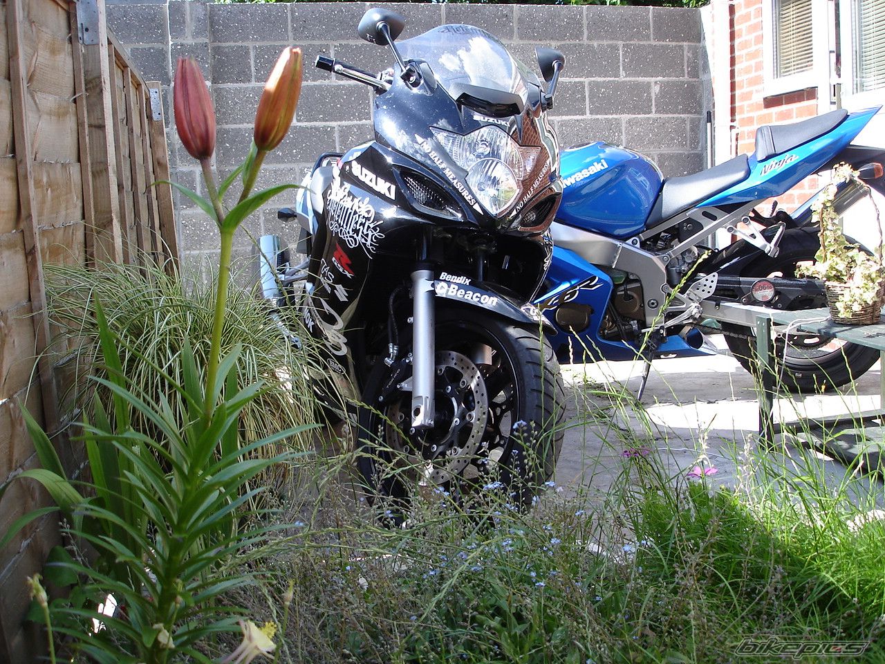 Bike Photo 1413106