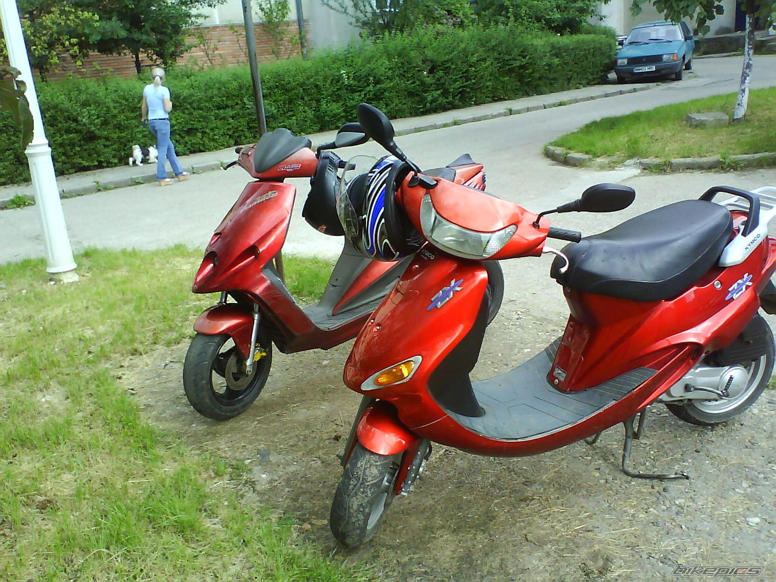 Photo 1413222