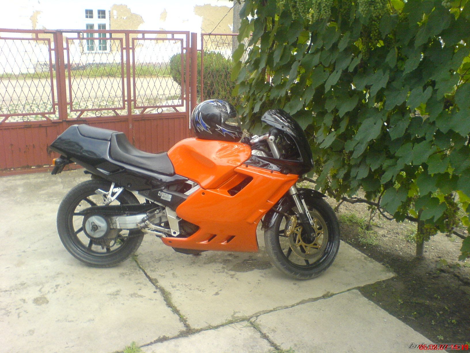 Photo 1413247