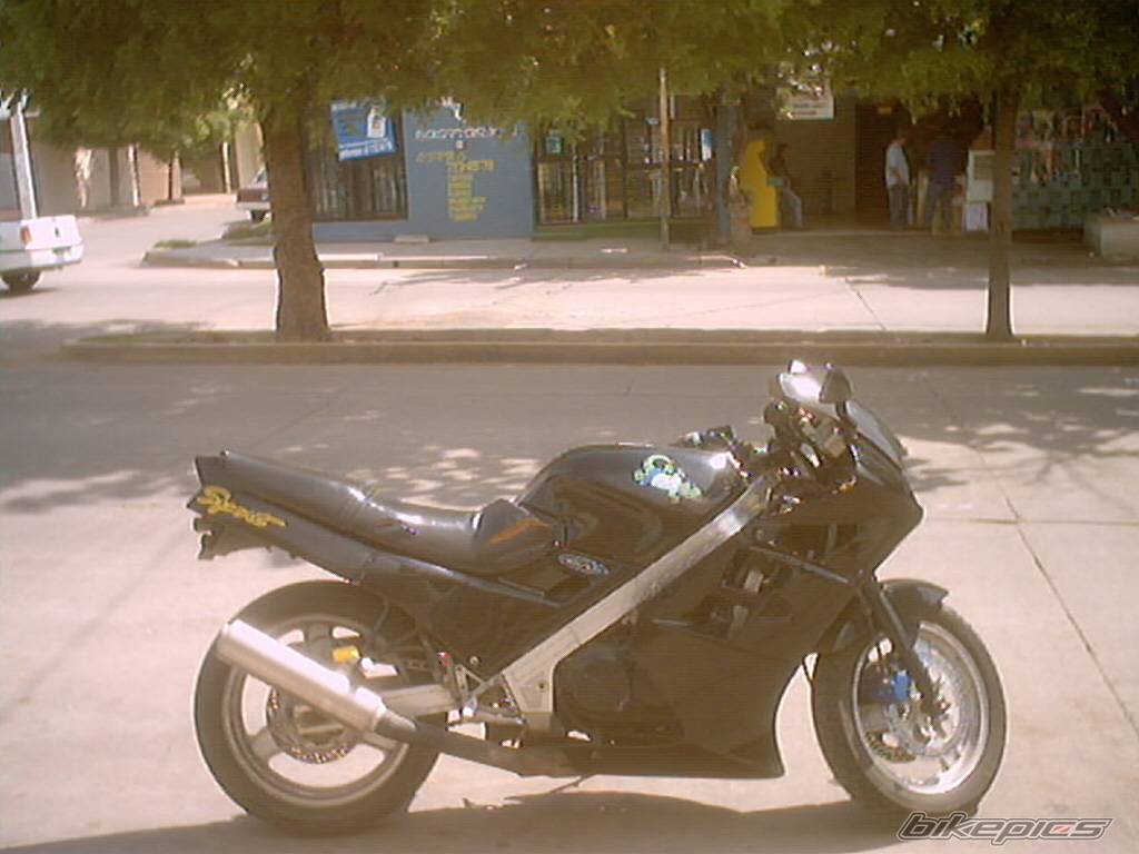 Photo 141331