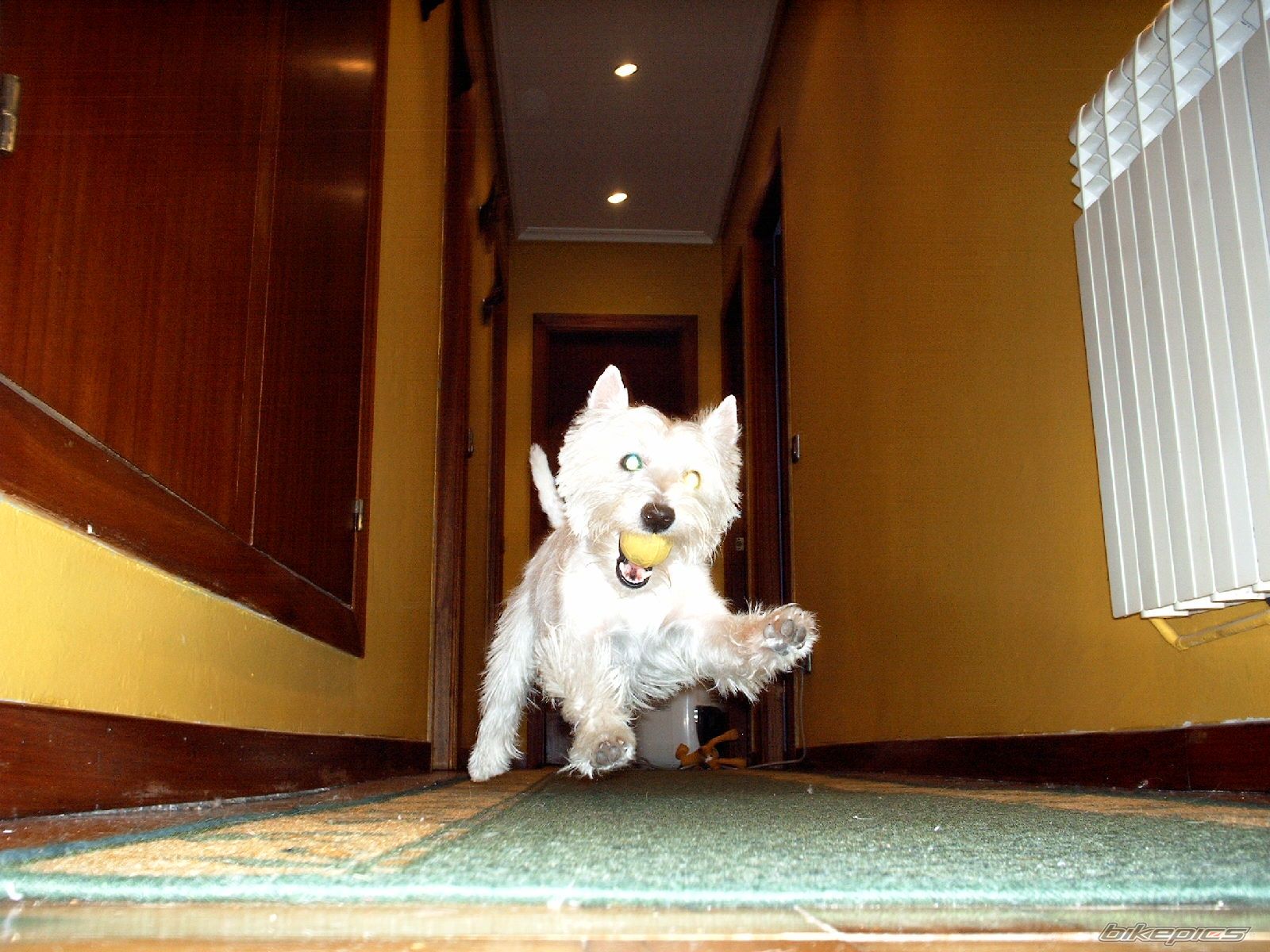 Photo 1413363