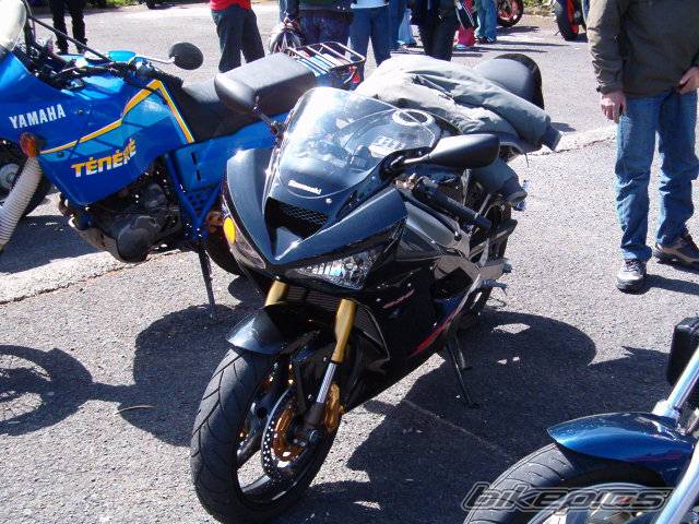 Photo 141341