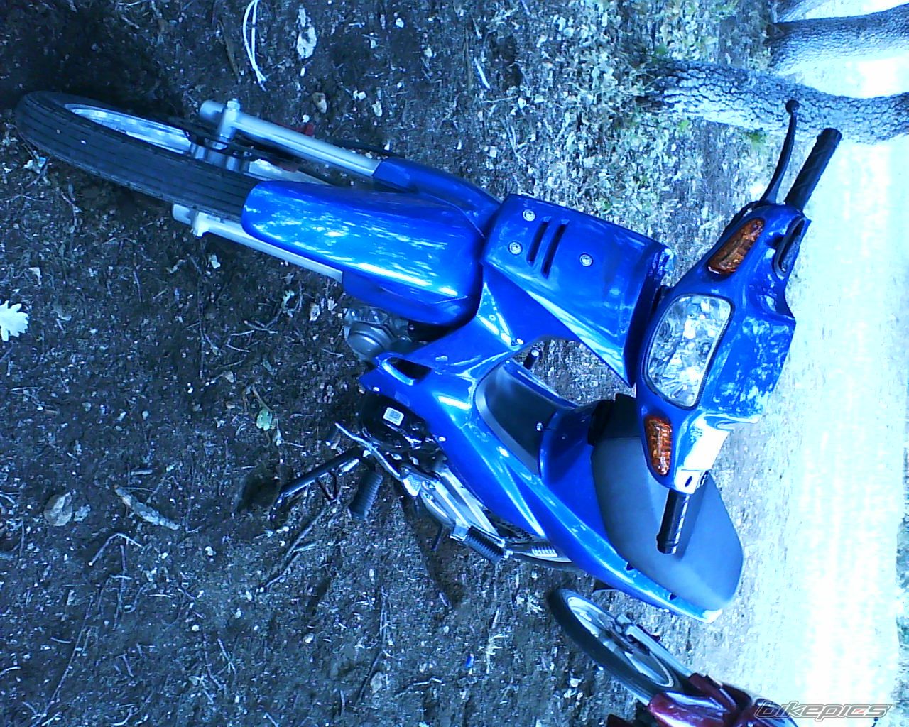 Photo 1413410