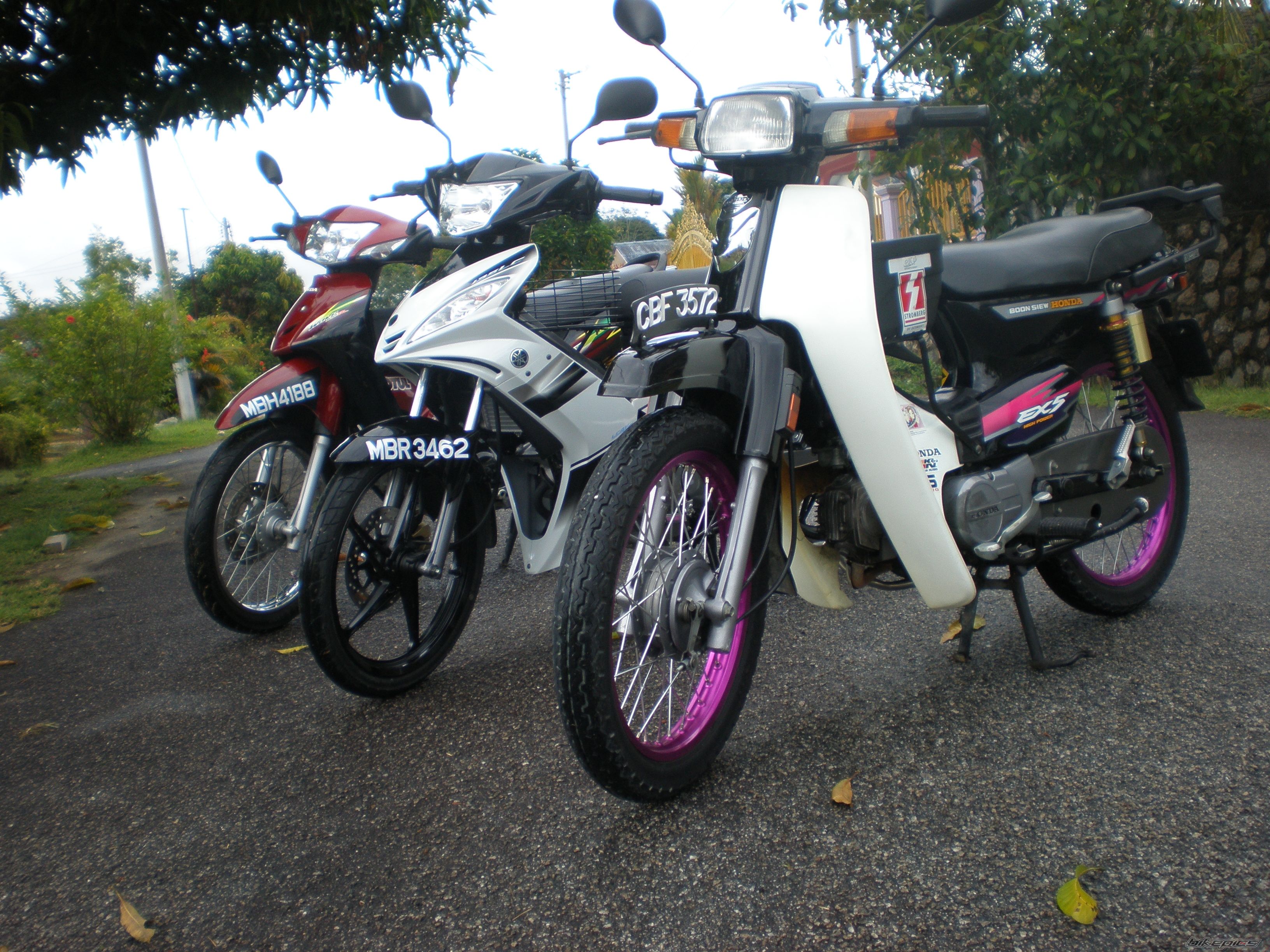 Photo 1413478