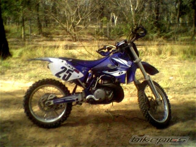 Photo 1413559