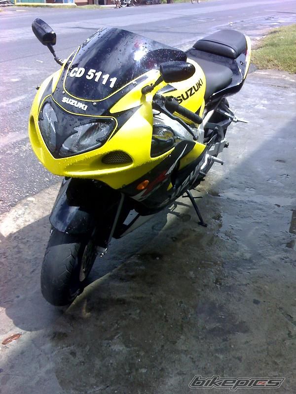 Photo 1413690