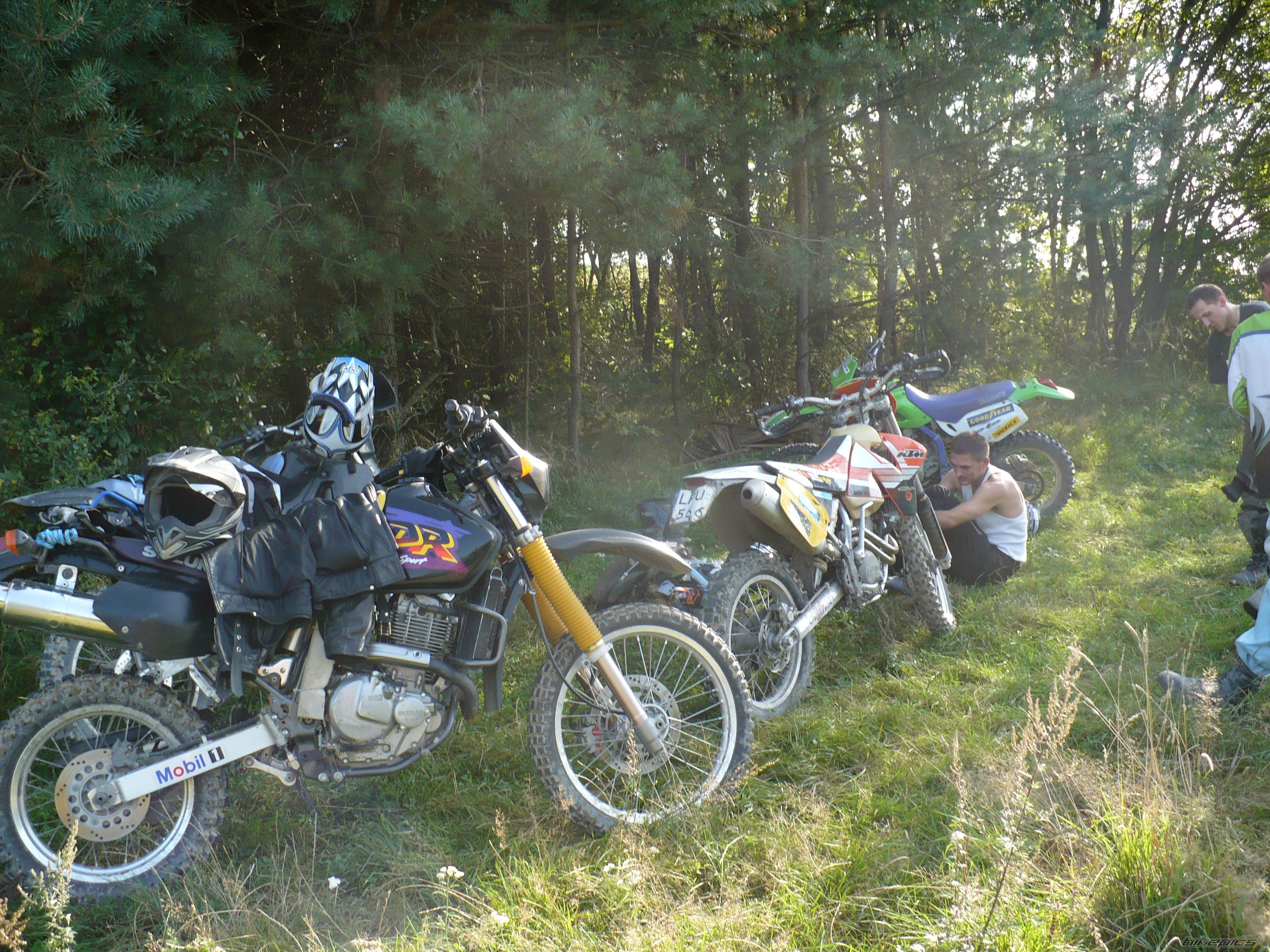 Photo 1413728