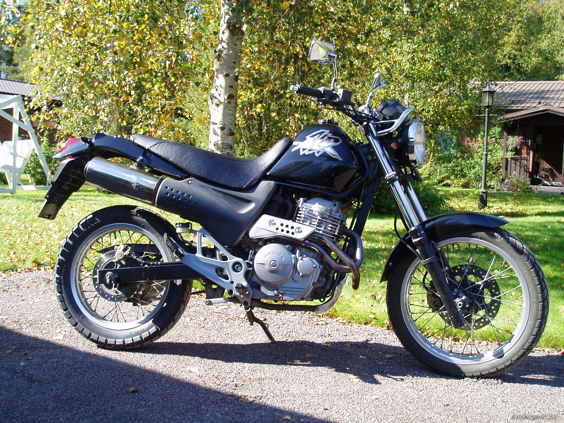 Photo 1413784