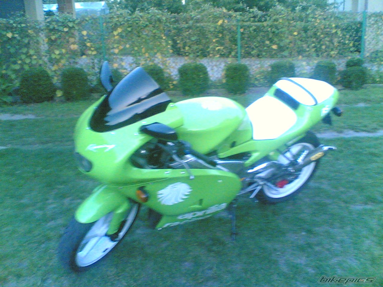 Photo 1413788