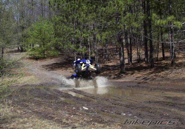 Photo 141382