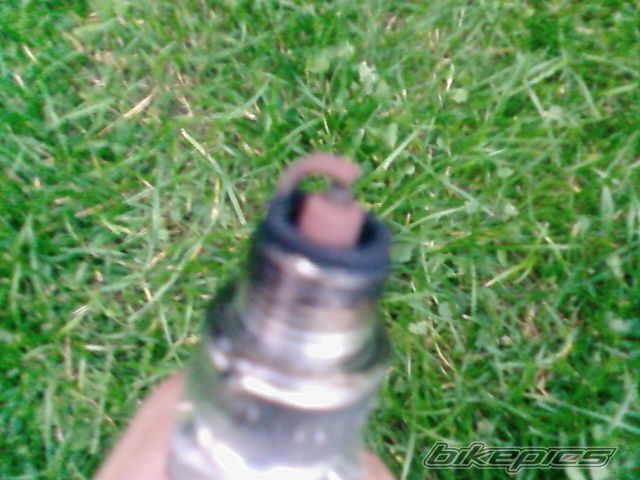 Photo 1413822