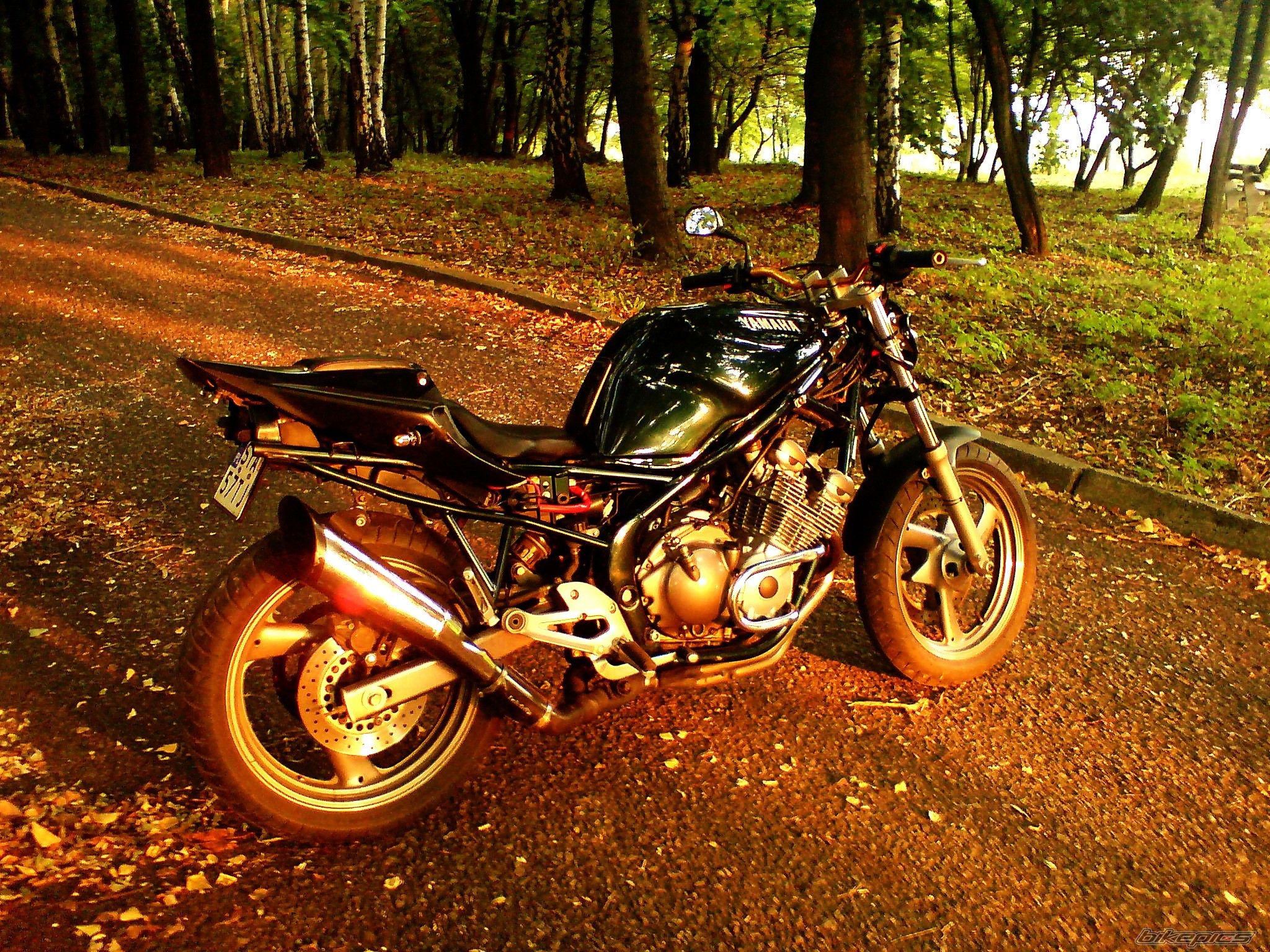 Photo 1413874