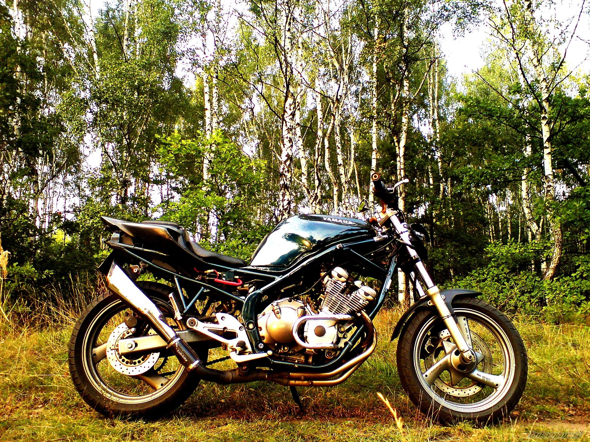 Photo 1413878